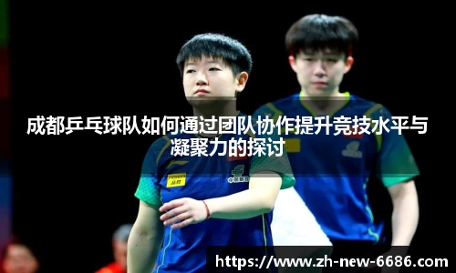 成都乒乓球队如何通过团队协作提升竞技水平与凝聚力的探讨
